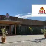 maple bear imagem noticias 11112025