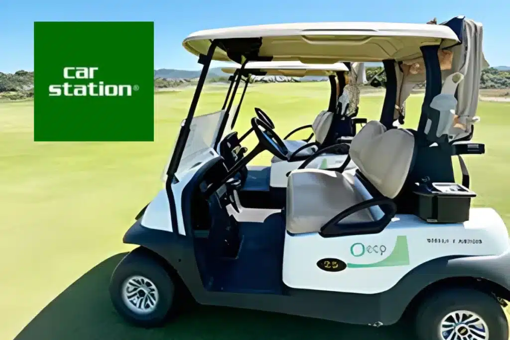 carrinhos elétricos