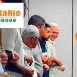 distribuidora hortifruti